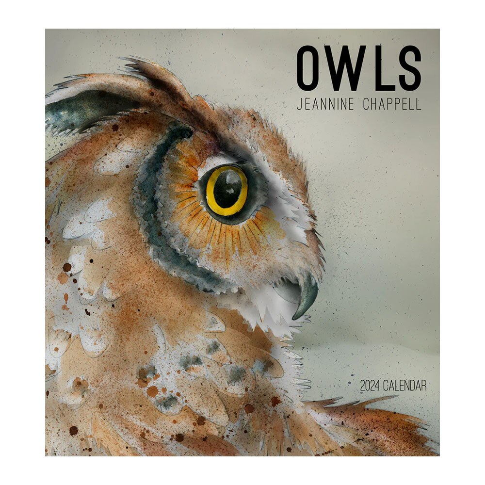 Pomegranate 2024 Wall Calendar Owls